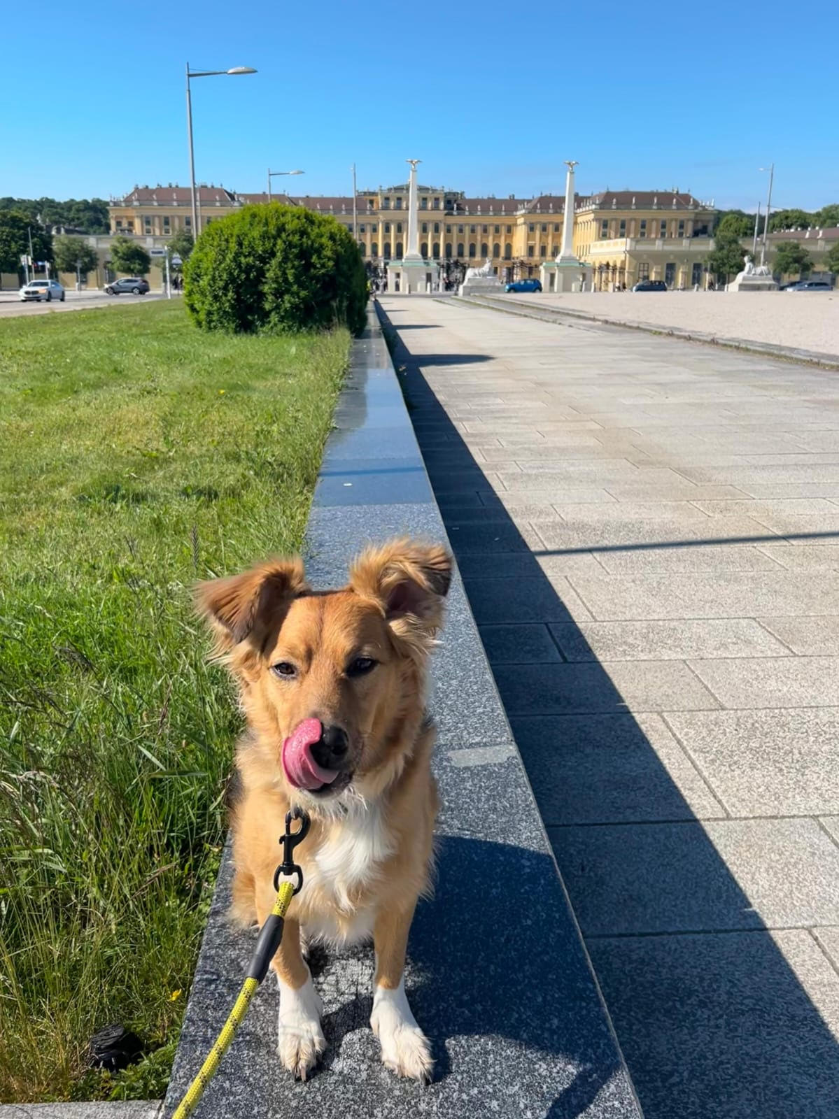 cani_austria_evid cani_austria_evid
