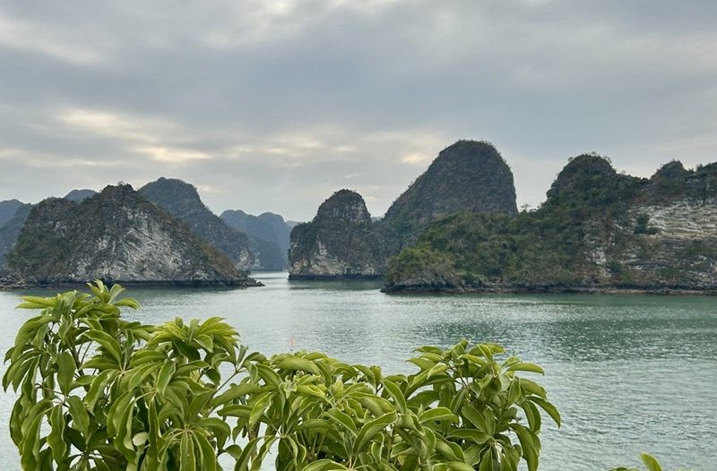 vietnam_foto_evid