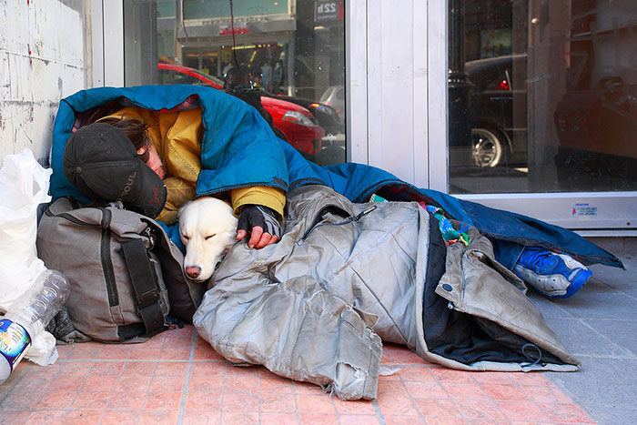 cani-senza-tetto-migliori-amici-29-700x467 1